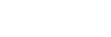 Logo Demokratisches BÜRGERFORUM Homberg (Ohm) transparent